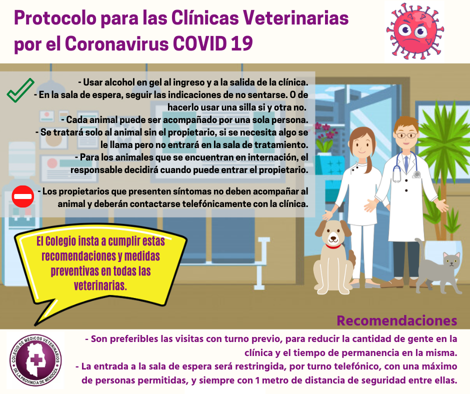 Coronavirus: protocolo para aplicar en las veterinarias