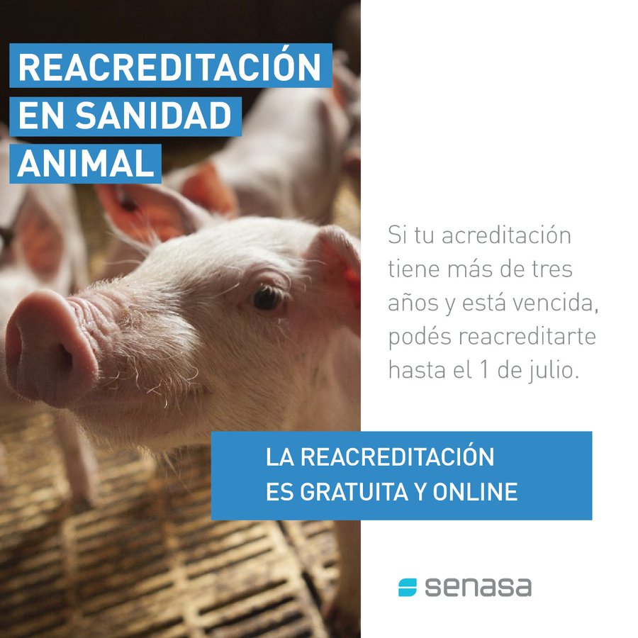Reacreditación en Sanidad Animal