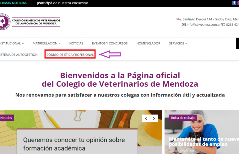 Código de Ética: todos y todas las colegas podrán participar en su redacción.