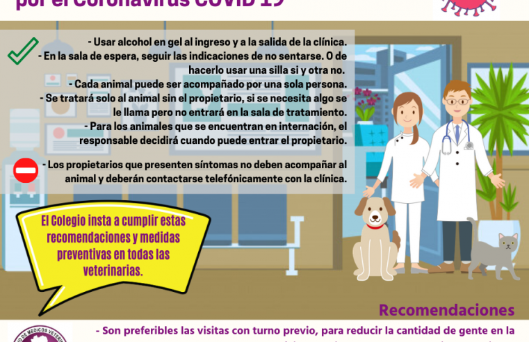 Coronavirus: protocolo para aplicar en las veterinarias