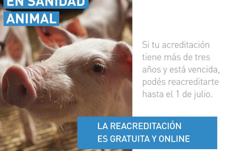 Reacreditación en Sanidad Animal