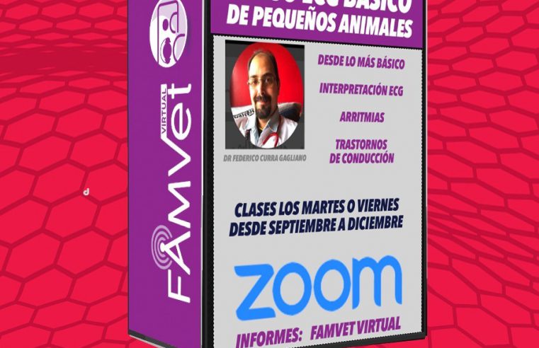 Curso ECG Básico en Pequeños Animales