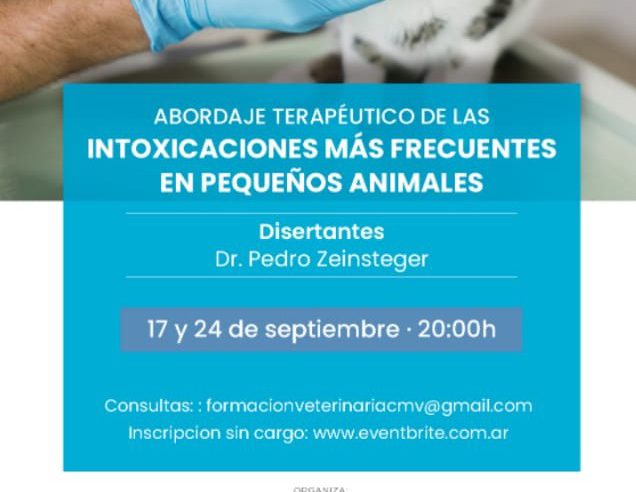 Curso sobre Intoxicaciones en Pequeños Animales