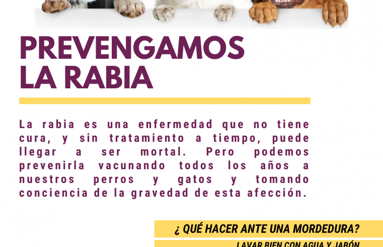 Rabia: una persona falleció en Buenos Aires