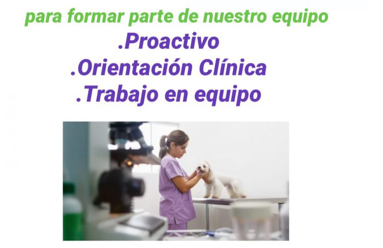 Oferta laboral en Godoy Cruz