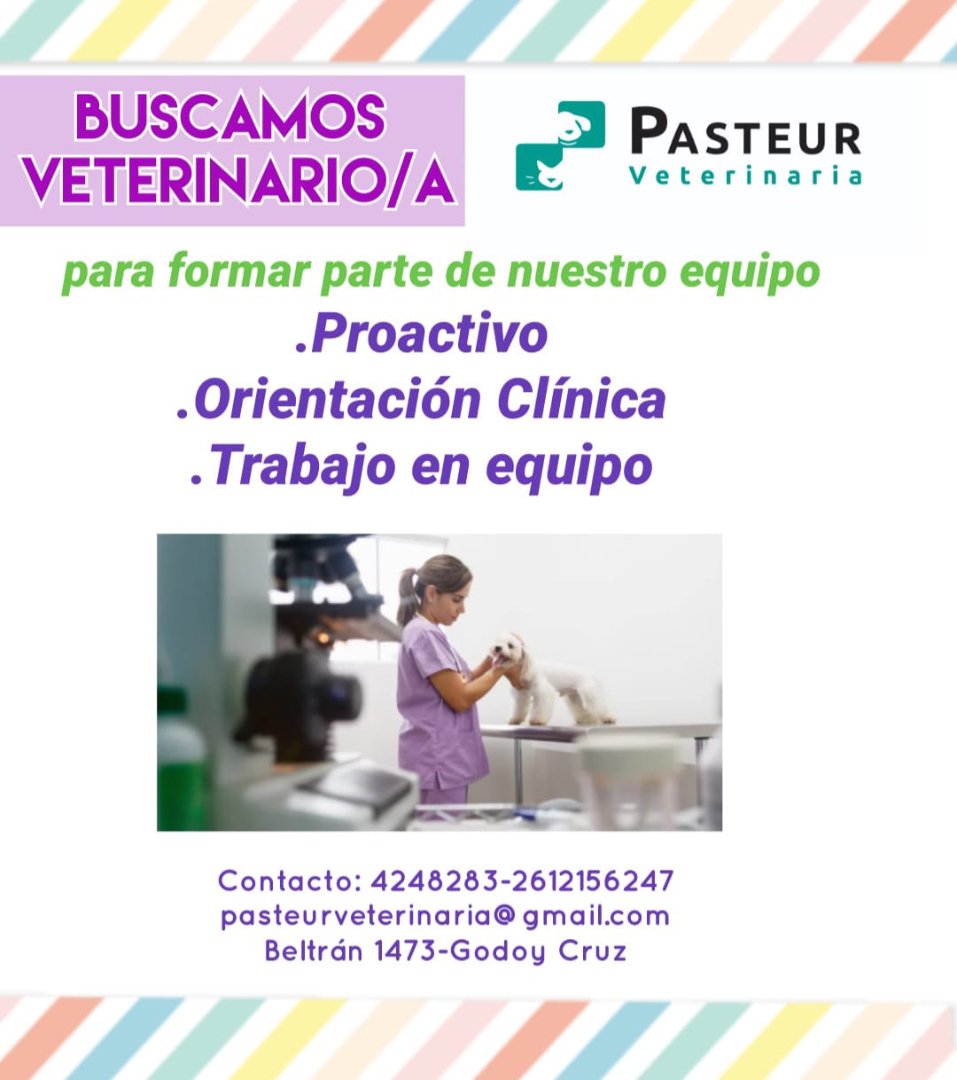 Oferta laboral en Godoy Cruz