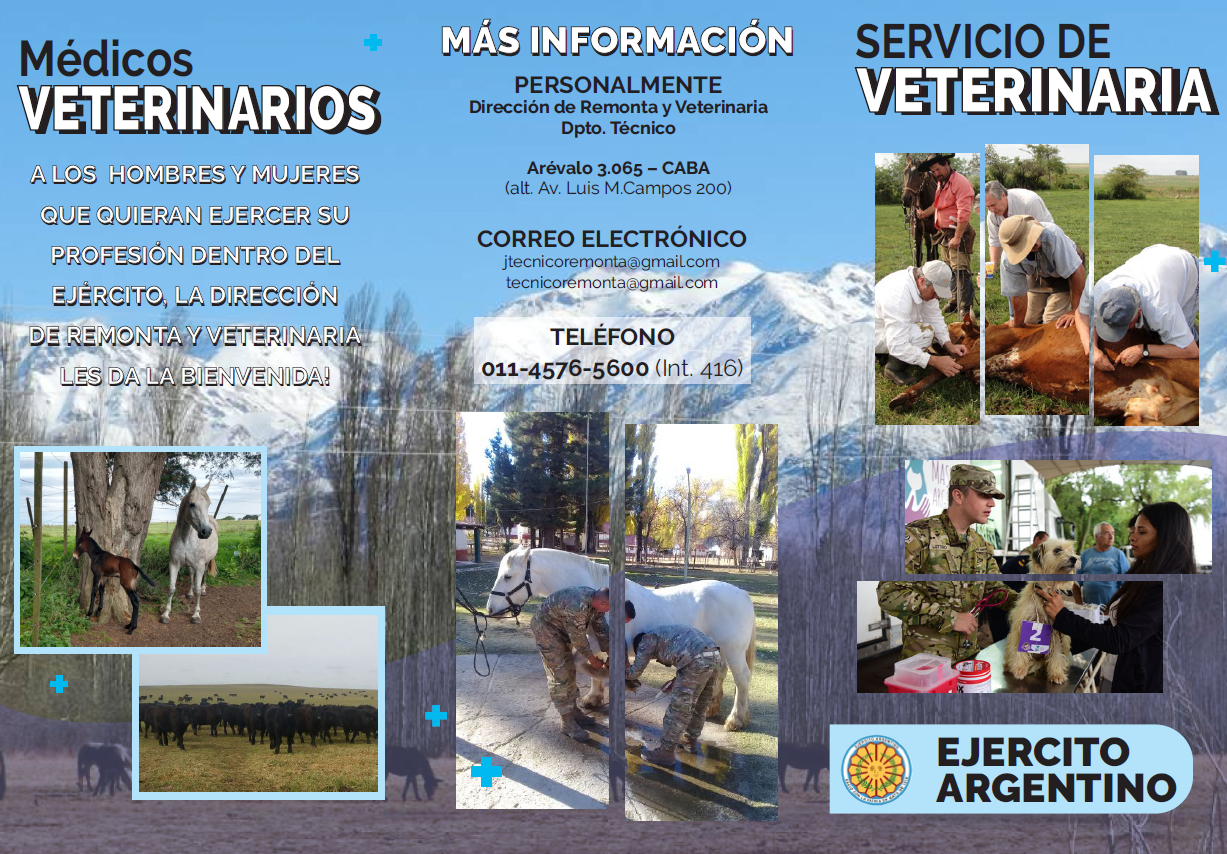 Ingreso al Servicio Veterinario del Ejército Argentino