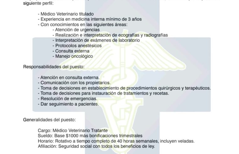 Oferta Laboral en Quito, Ecuador