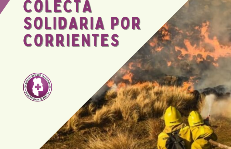 Colecta Solidaria por Corrientes