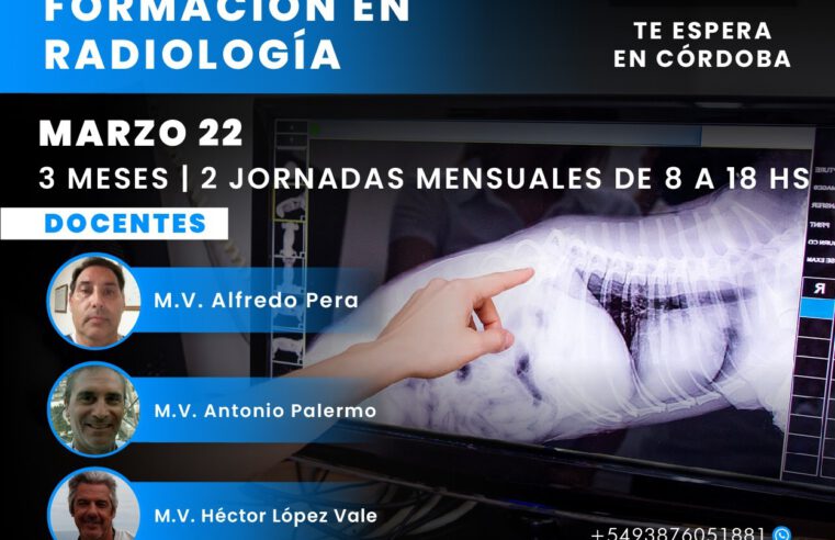 Curso Presencial en Formación en Radiología