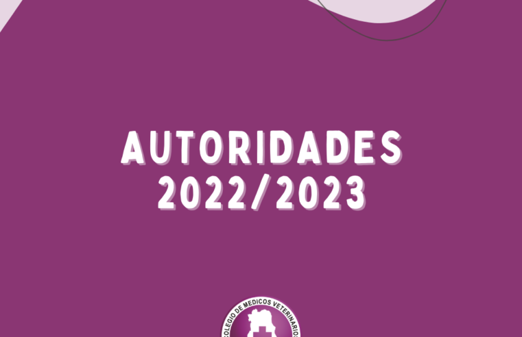 Renovación de Autoridades del Colegio