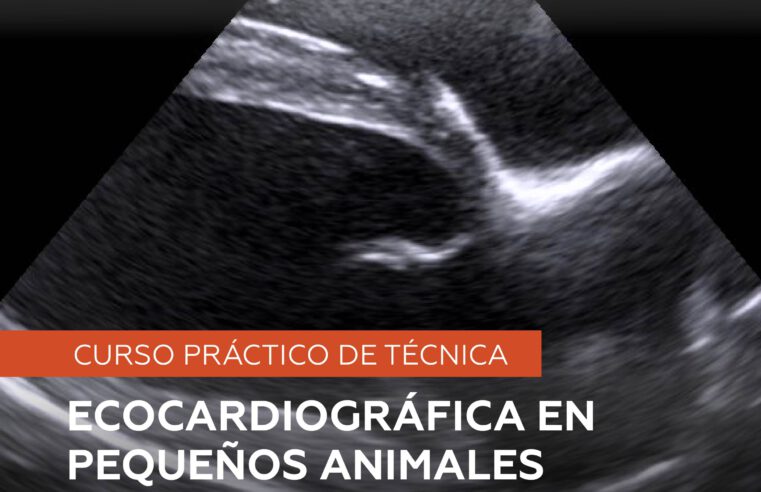Curso: Ecocardiográfica en Pequeños Animales