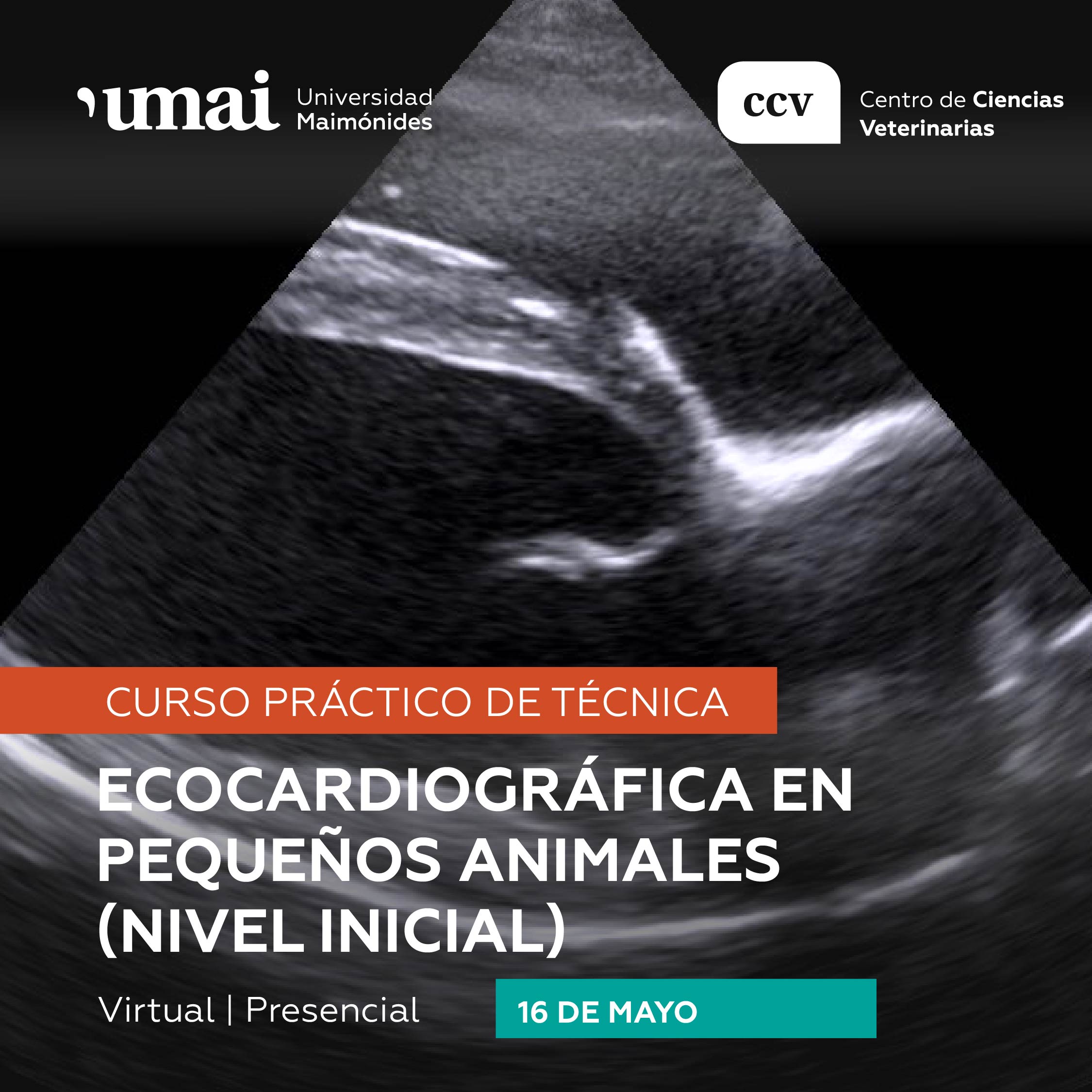 Curso: Ecocardiográfica en Pequeños Animales