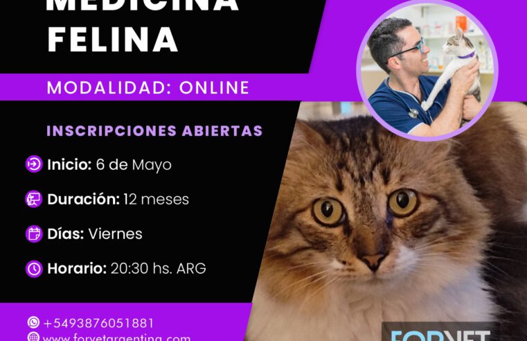 Diplomado: Medicina Felina