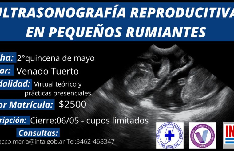 Curso: Ultrasonografía Reproductiva en Pequeños Rumiantes