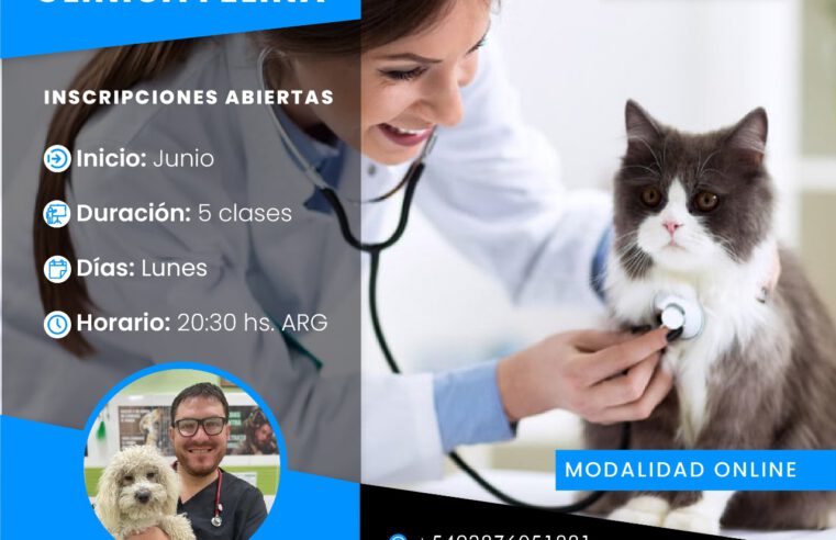 Curso «Cardiología Clínica Felina»