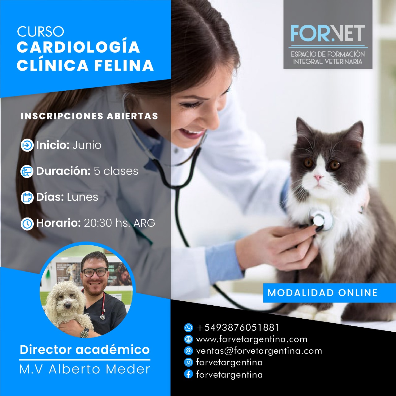 Curso «Cardiología Clínica Felina»