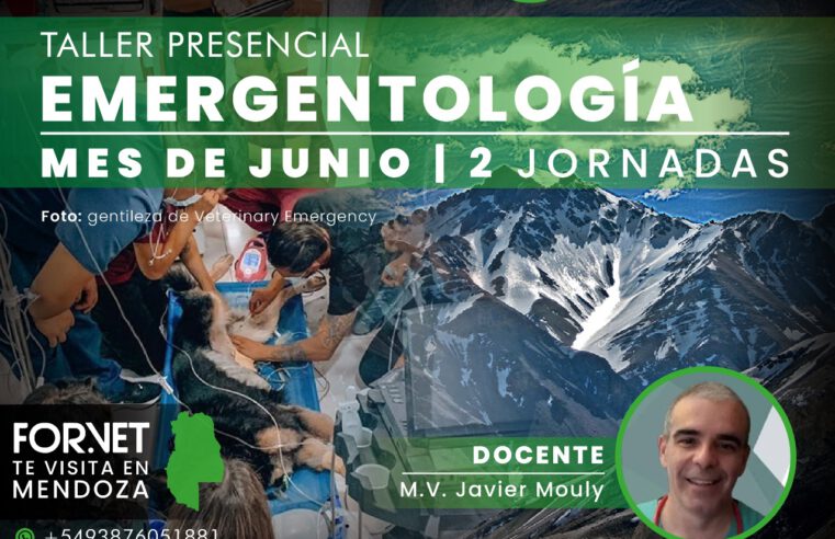 Programa del Taller de Emergentología