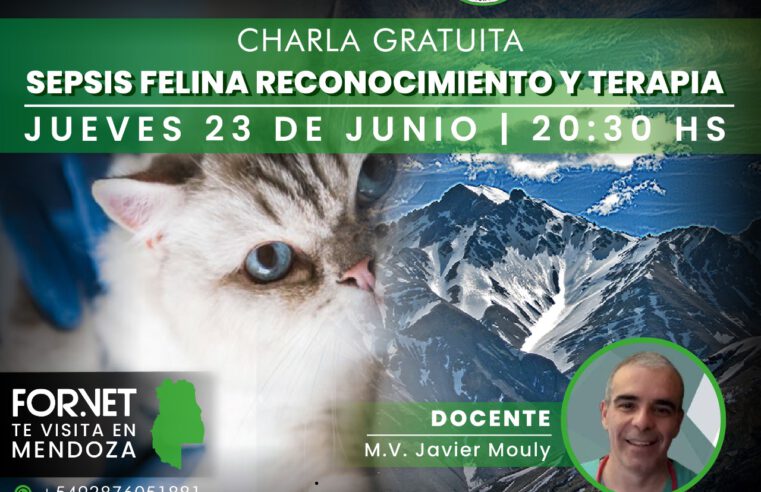 Charla gratuita: «Sepsis Felina»