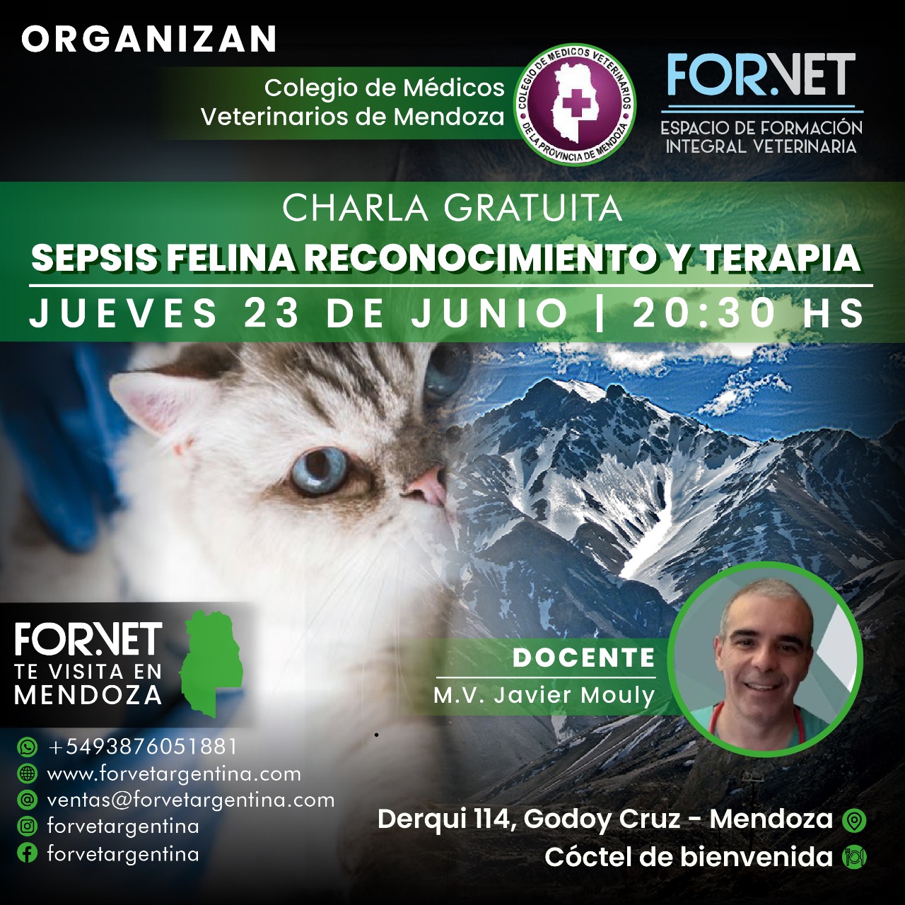 Charla gratuita: «Sepsis Felina»