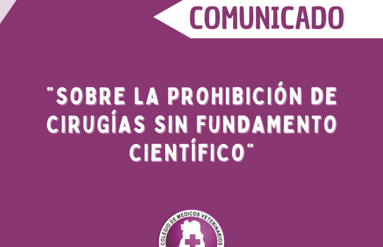 Comunicado: Sobre el proyecto de prohibir cirugías sin fundamento científico