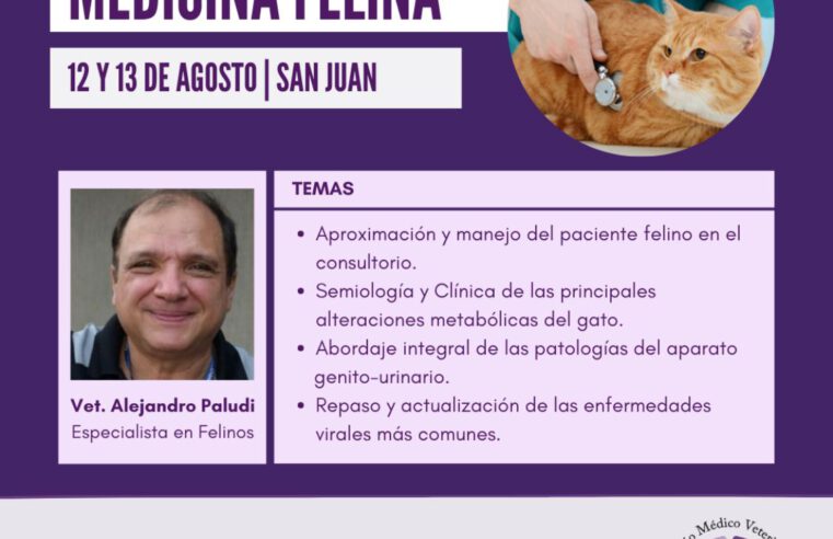 Curso presencial Medicina Felina