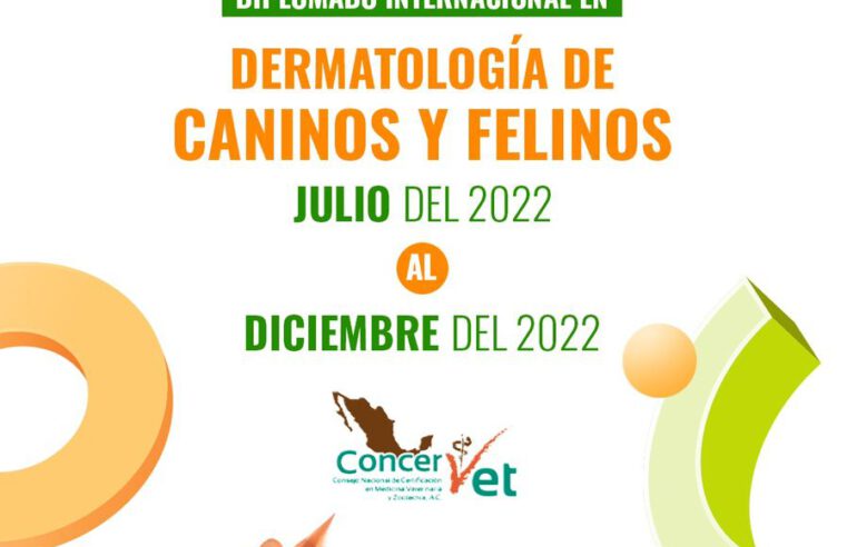 Diplomado en Dermatología en Felinos y Caninos