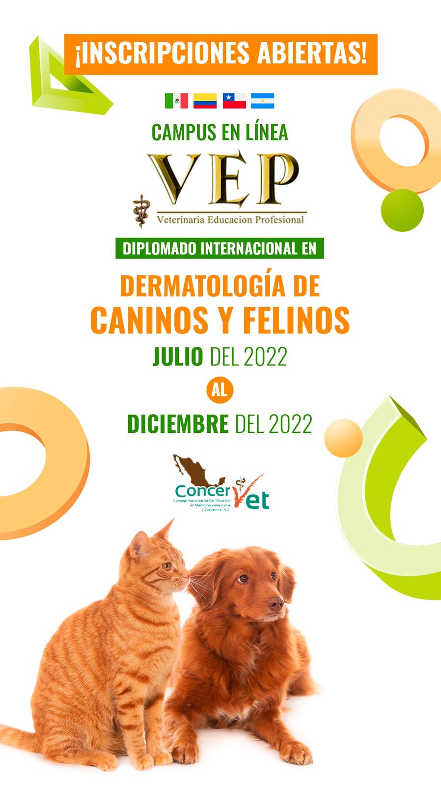Diplomado en Dermatología en Felinos y Caninos