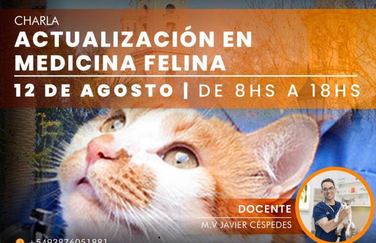 Jornadas de Medicina Felina en San Luis