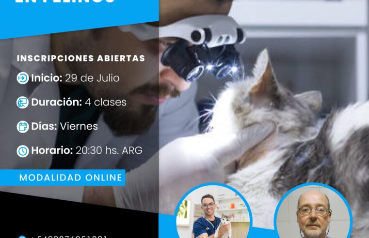 Curso: Neurología en Felinos