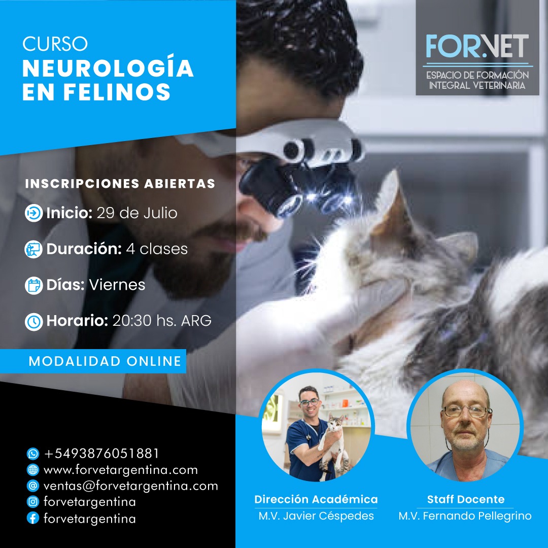 Curso: Neurología en Felinos