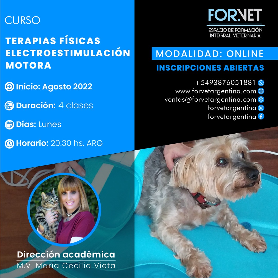 CURSO «TERAPIAS FÍSICAS: ELECTROESTIMULACIÓN MOTORA»