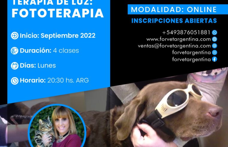 Curso «TERAPIAS FÍSICAS: FOTOTERAPIA»