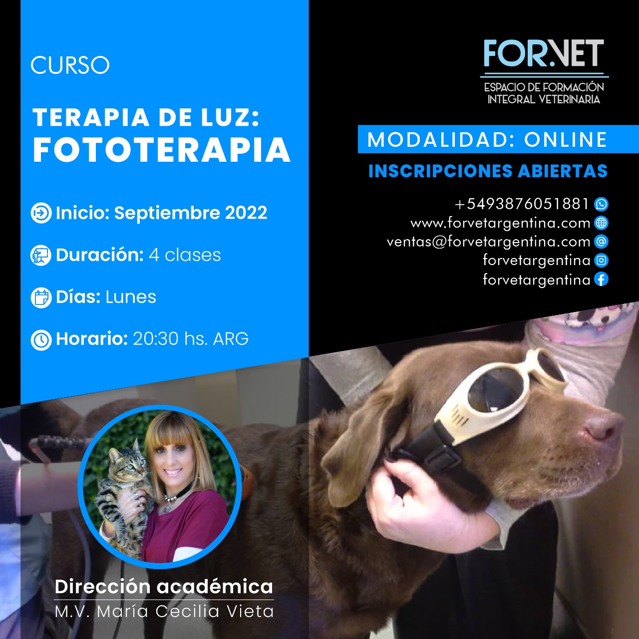 Curso «TERAPIAS FÍSICAS: FOTOTERAPIA»