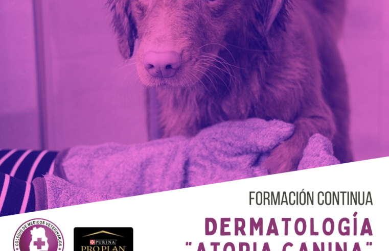 Charla: Dermatología «Atopia Canina»