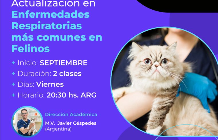 TALLER ENFERMEDADES RESPIRATORIAS MÁS COMUNES EN FELINOS