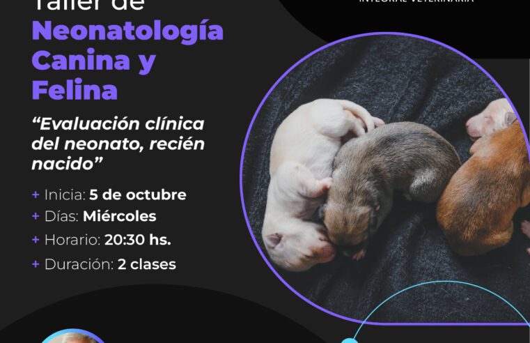 ACTUALIZACION EN NEONATOLOGIA EN CANINOS Y FELINOS