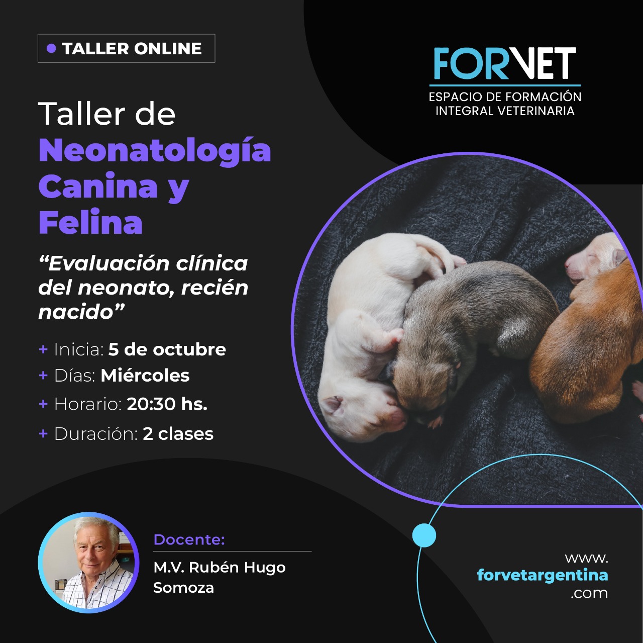 ACTUALIZACION EN NEONATOLOGIA EN CANINOS Y FELINOS