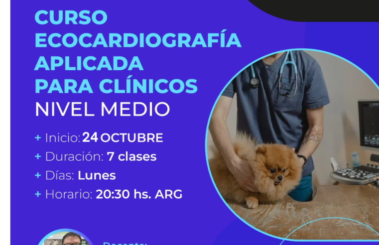 Curso: Ecocardiografía Aplicada para Clínicos