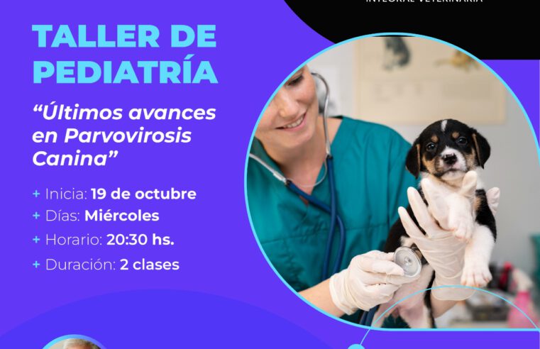 Taller de Pediatría: «Últimos avances en Parvovirosis Canina»