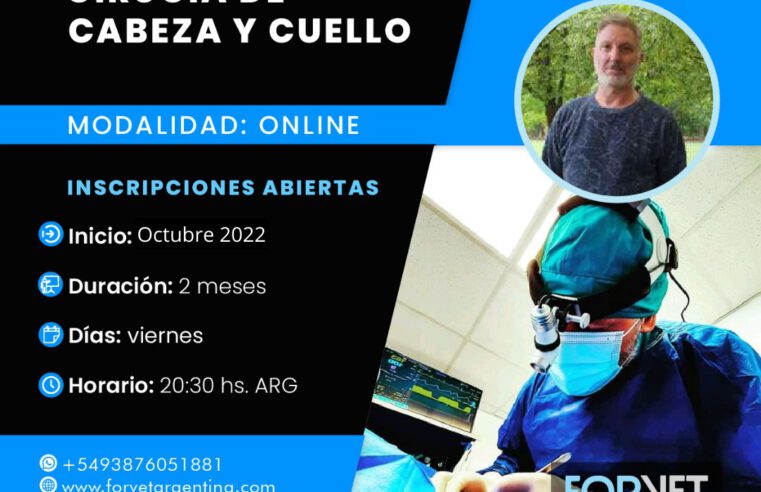 Curso: «Cirugía de Cabeza y Cuello»