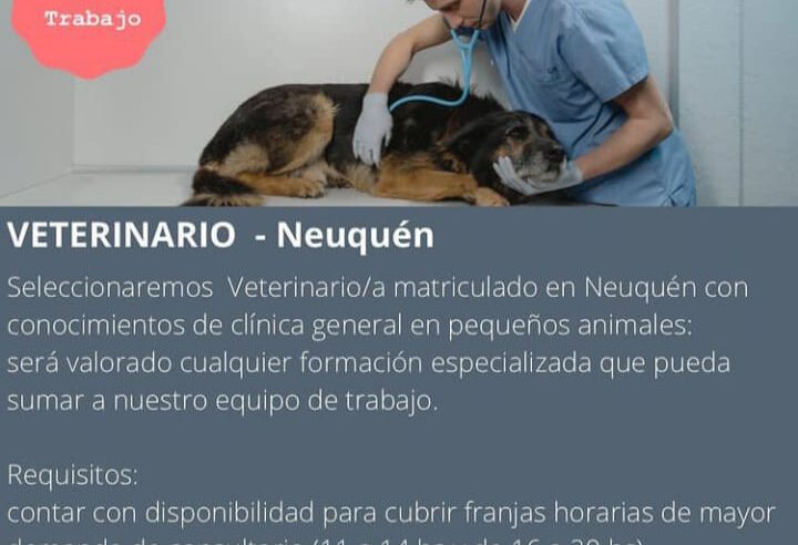 Oferta Laboral en Neuquén