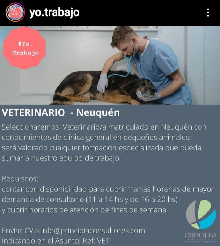 Oferta Laboral en Neuquén