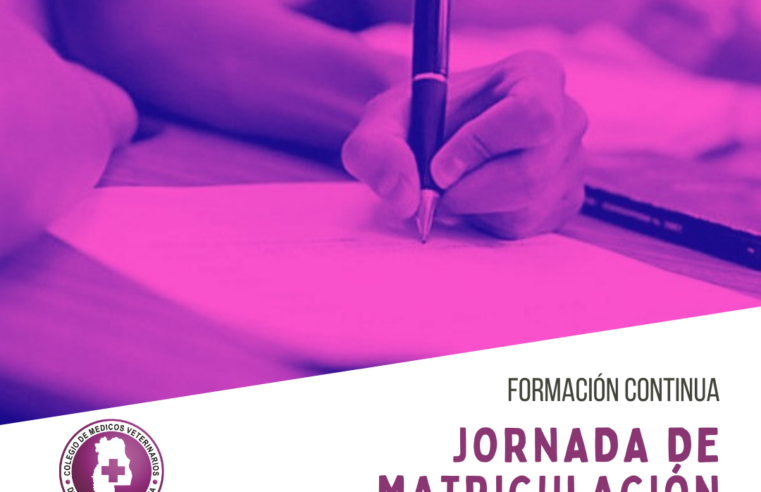 Jornada de «Matriculación»