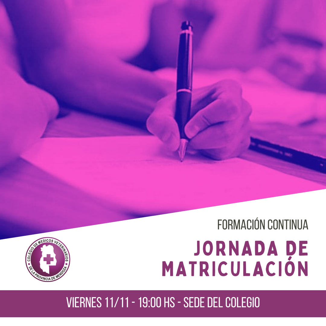 Jornada de «Matriculación»