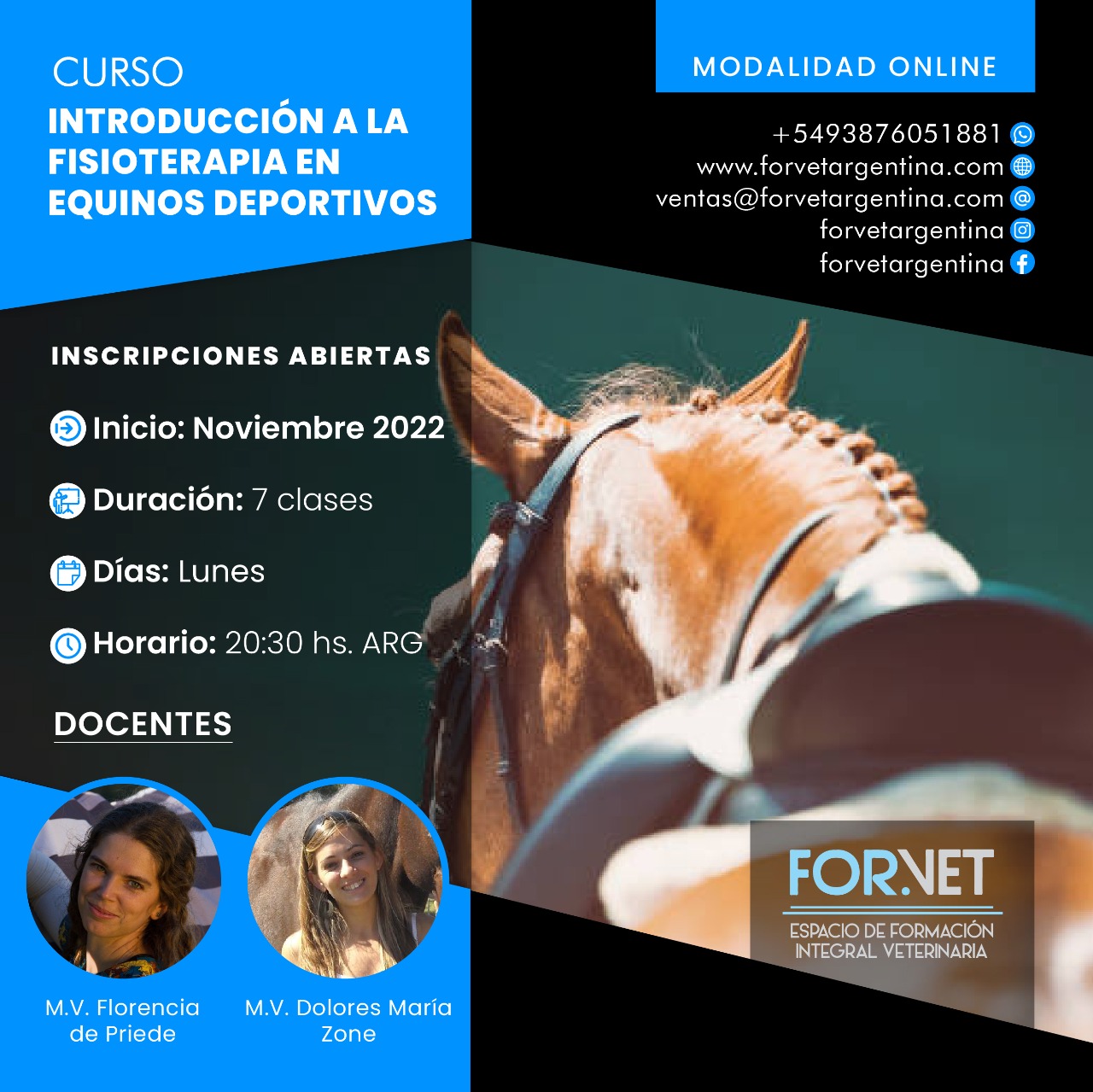 Curso: «INTRODUCCIÓN A LA FISIOTERAPIA EN EQUINOS DEPORTIVOS»