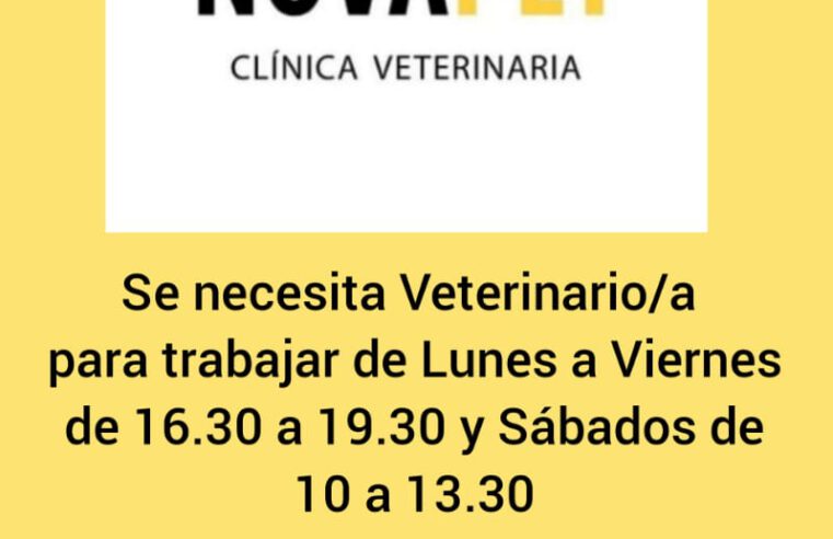 Oferta laboral en Guaymallén