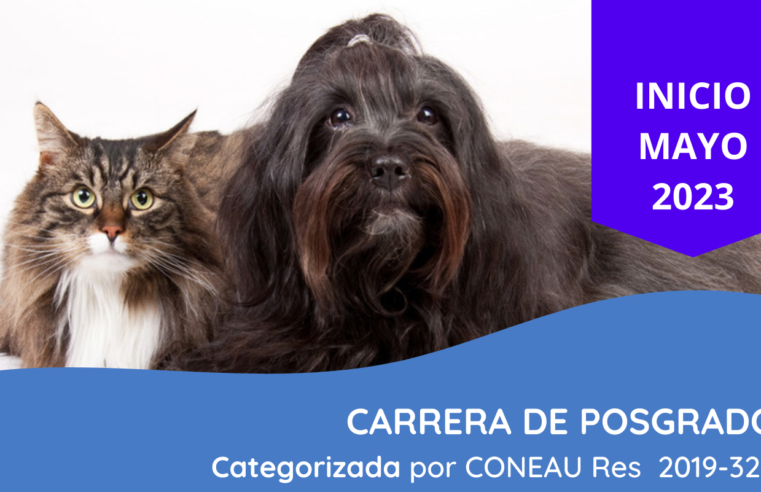 Especialización en Clínica de Perros y Gatos