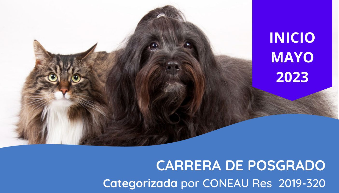 Especialización en Clínica de Perros y Gatos