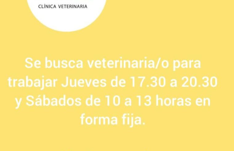 Oferta Laboral Clínica Novapet